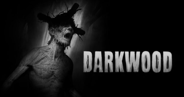 [Review] Darkwood – Nintendo Switch